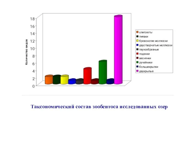 Таксономический состав зообентоса исследованных озер