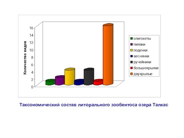 Таксономический состав литорального зообентоса озера Талкас