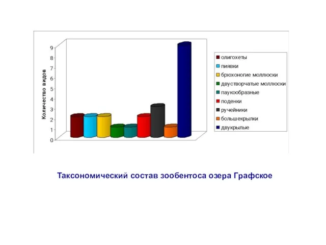 Таксономический состав зообентоса озера Графское