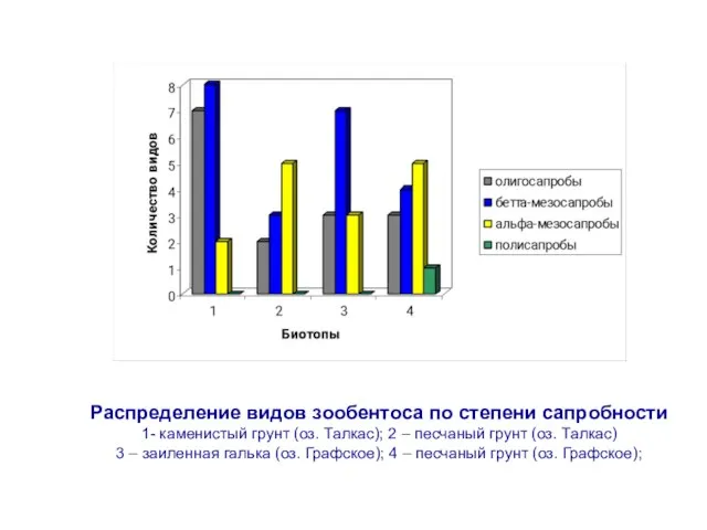 Распределение видов зообентоса по степени сапробности 1- каменистый грунт (оз. Талкас); 2