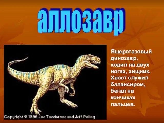 аллозавр Ящеротазовый динозавр, ходил на двух ногах, хищник. Хвост служил балансиром, бегал на кончиках пальцев.