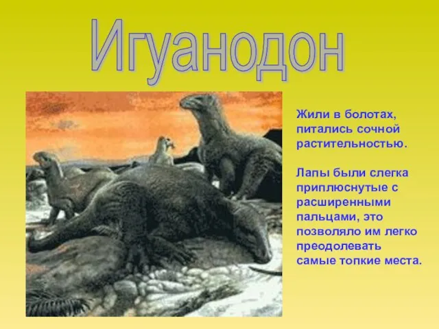 Игуанодон Жили в болотах, питались сочной растительностью. Лапы были слегка приплюснутые с