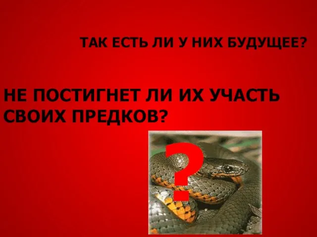 ТАК ЕСТЬ ЛИ У НИХ БУДУЩЕЕ? НЕ ПОСТИГНЕТ ЛИ ИХ УЧАСТЬ СВОИХ ПРЕДКОВ? ?