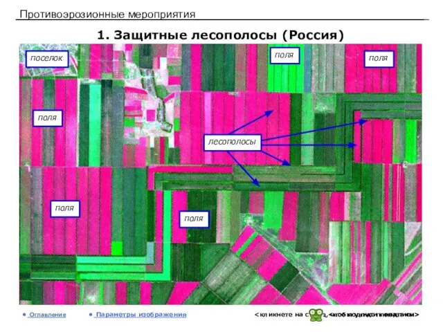 Противоэрозионные мероприятия 1. Защитные лесополосы (Россия) Оглавление Параметры изображения поселок поля поля поля поля поля