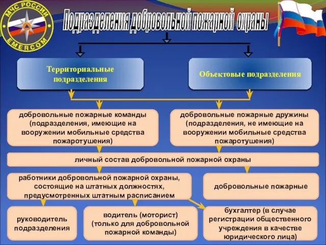 Подразделения добровольной пожарной охраны Территориальные подразделения Объектовые подразделения добровольные пожарные команды (подразделения,