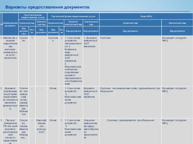 Варианты предоставления документов