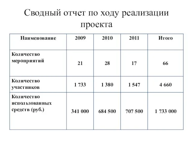 Сводный отчет по ходу реализации проекта