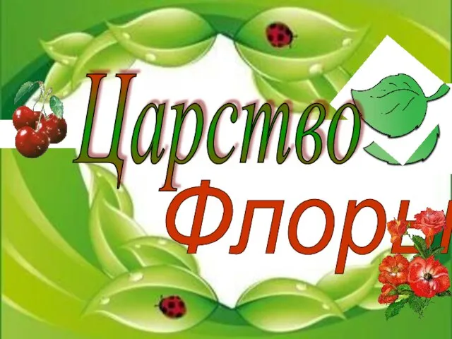 Флоры Царство