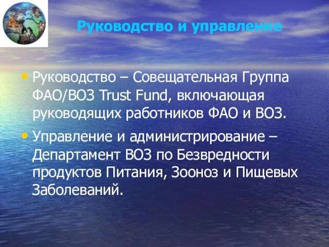 Руководство и управление Руководство – Совещательная Группа ФАО/ВОЗ Trust Fund, включающая руководящих