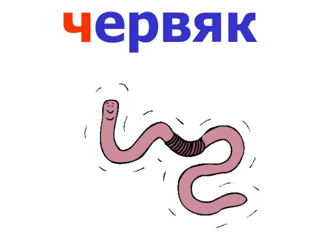 червяк