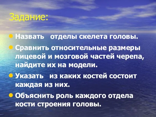 Задание: Назвать отделы скелета головы. Сравнить относительные размеры лицевой и мозговой частей