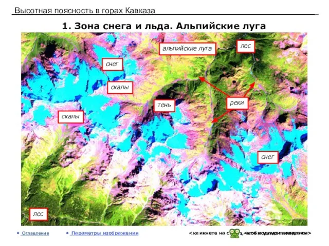 Высотная поясность в горах Кавказа 1. Зона снега и льда. Альпийские луга