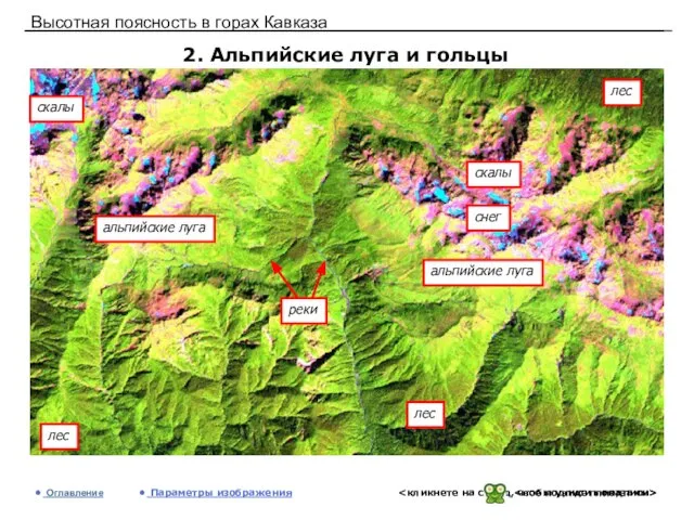 Высотная поясность в горах Кавказа 2. Альпийские луга и гольцы Оглавление Параметры