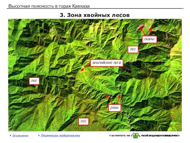 Высотная поясность в горах Кавказа 3. Зона хвойных лесов Оглавление Параметры изображения лес лес лес