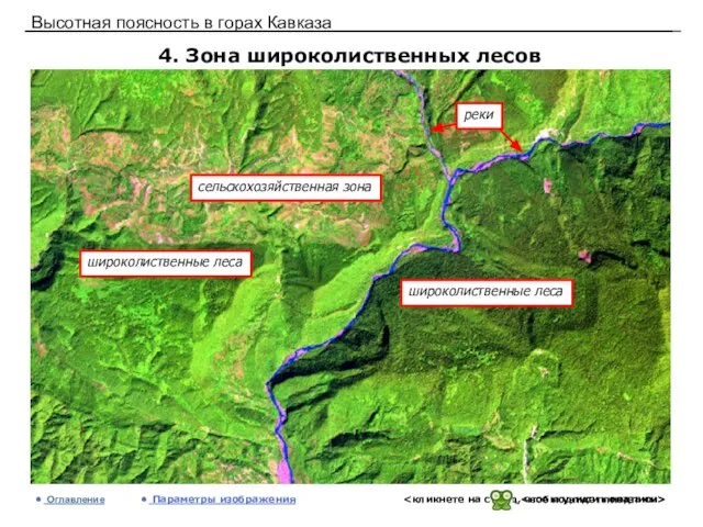 Высотная поясность в горах Кавказа 4. Зона широколиственных лесов Оглавление Параметры изображения
