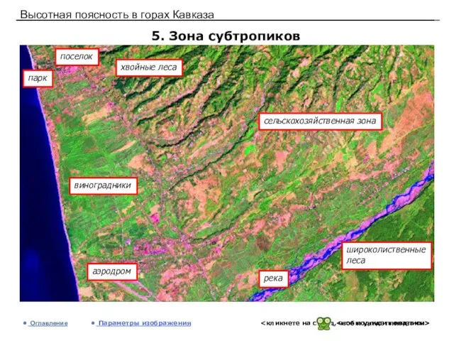 Высотная поясность в горах Кавказа 5. Зона субтропиков Оглавление Параметры изображения виноградники