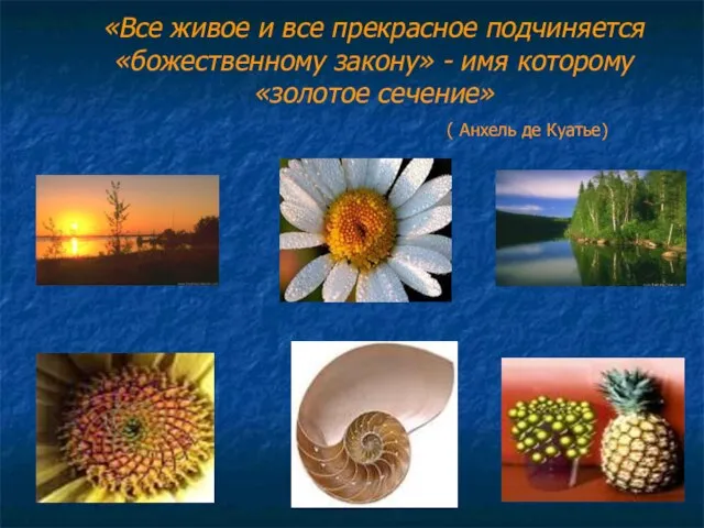 «Все живое и все прекрасное подчиняется «божественному закону» - имя которому «золотое