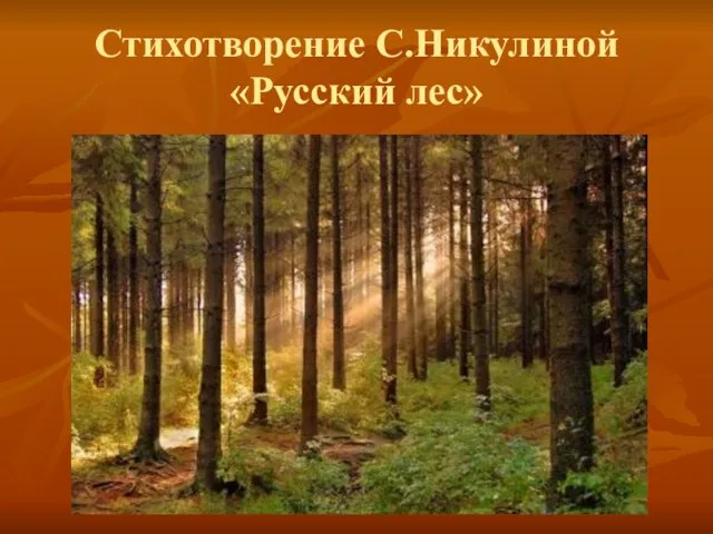 Стихотворение С.Никулиной «Русский лес»