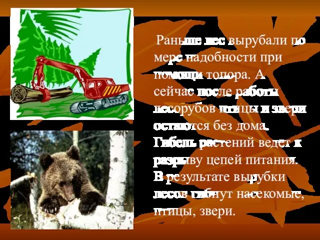 Раньше лес вырубали по мере надобности при помощи топора. А сейчас после