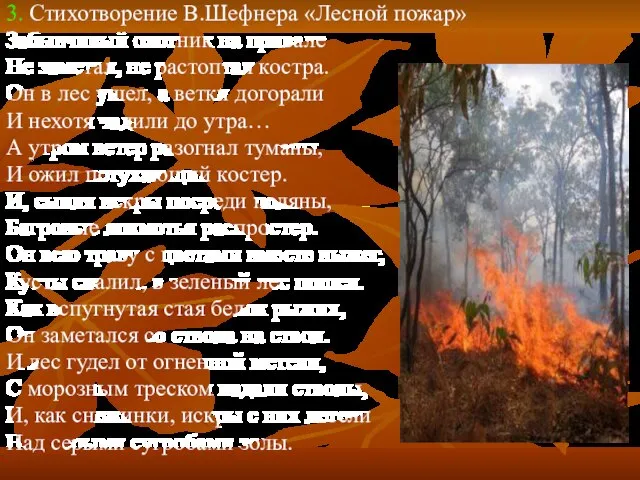 3. Стихотворение В.Шефнера «Лесной пожар» Забывчивый охотник на привале Не заметал, не