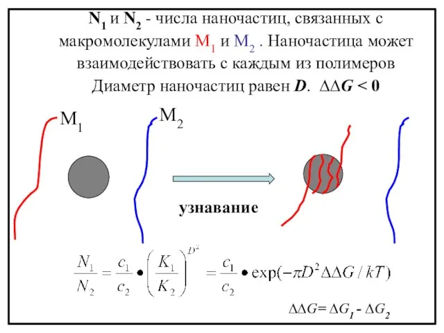 N1 и N2 - числа наночастиц, связанных с макромолекулами М1 и М2