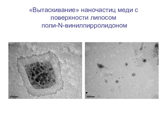 «Вытаскивание» наночастиц меди с поверхности липосом поли-N-винилпирролидоном