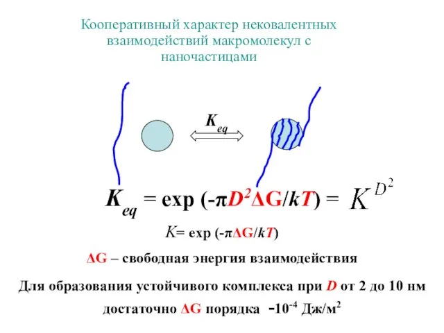 Кооперативный характер нековалентных взаимодействий макромолекул с наночастицами Keq = exp (-πD2ΔG/kT) =