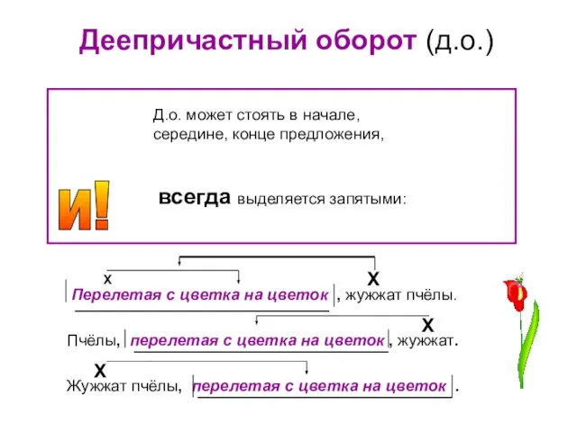 Деепричастный оборот (д.о.) и! Д.о. может стоять в начале, середине, конце предложения,