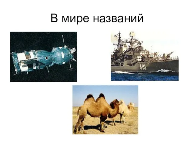 В мире названий