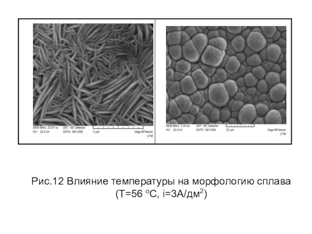 Рис.12 Влияние температуры на морфологию сплава (Т=56 оС, i=3А/дм2)