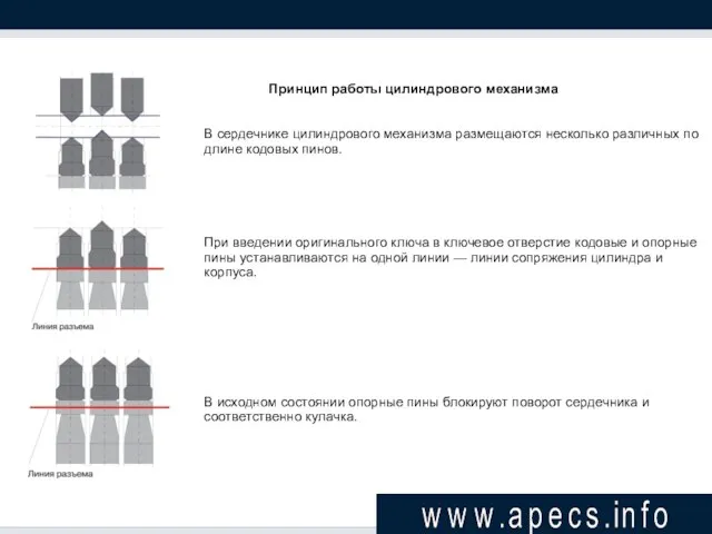 Принцип работы цилиндрового механизма В сердечнике цилиндрового механизма размещаются несколько различных по