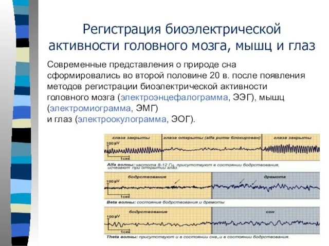 Регистрация биоэлектрической активности головного мозга, мышц и глаз Современные представления о природе