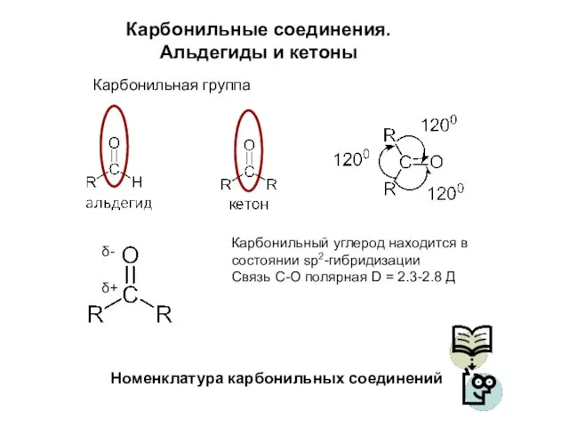 Карбонильные соединения. Альдегиды и кетоны Карбонильная группа Номенклатура карбонильных соединений Карбонильный углерод