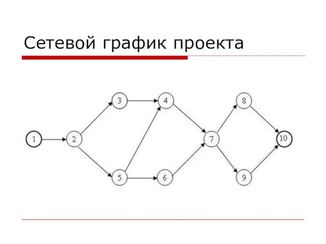 Сетевой график проекта