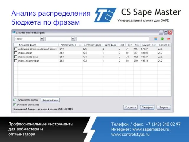 Анализ распределения бюджета по фразам