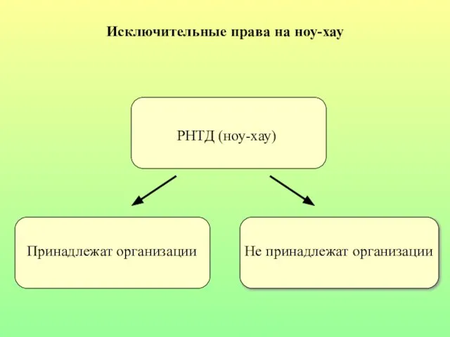 Исключительные права на ноу-хау РНТД (ноу-хау) Принадлежат организации Не принадлежат организации