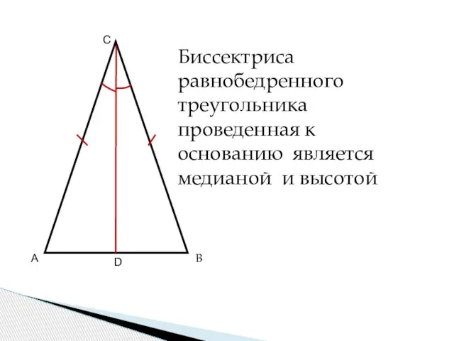 А В СВ С го треугольника А В С D Биссектриса равнобедренного