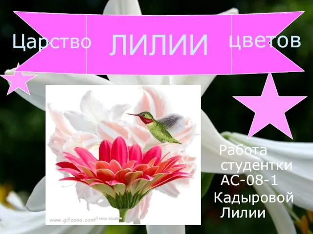 Работа студентки АС-08-1 Кадыровой Лилии ЛИЛИИ Царство цветов