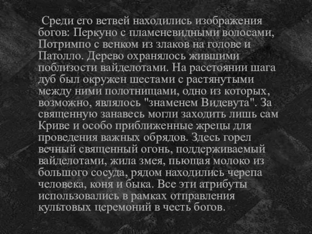 Среди его ветвей находились изображения богов: Перкуно с пламеневидными волосами, Потримпо с