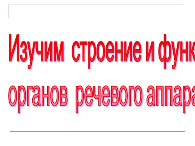 Изучим строение и функции органов речевого аппарата!