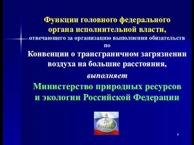 Функции головного федерального органа исполнительной власти, отвечающего за организацию выполнения обязательств по