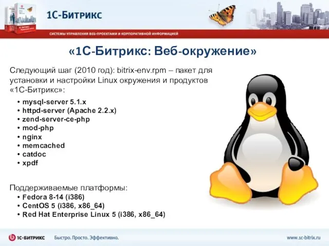 «1С-Битрикс: Веб-окружение» Следующий шаг (2010 год): bitrix-env.rpm – пакет для установки и