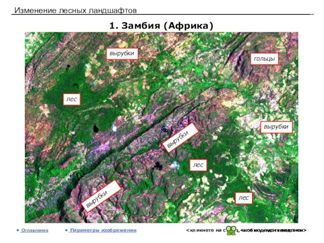 Изменение лесных ландшафтов 1. Замбия (Африка) Оглавление Параметры изображения вырубки вырубки лес