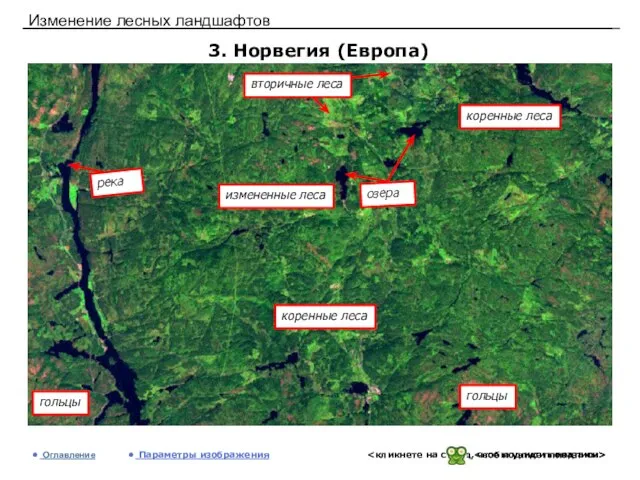 Изменение лесных ландшафтов 3. Норвегия (Европа) Оглавление Параметры изображения измененные леса коренные