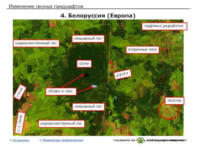 Изменение лесных ландшафтов 4. Белоруссия (Европа) Оглавление Параметры изображения сосна с.-х. поля