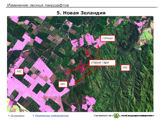 Изменение лесных ландшафтов 5. Новая Зеландия Оглавление Параметры изображения лес гольцы лес лес