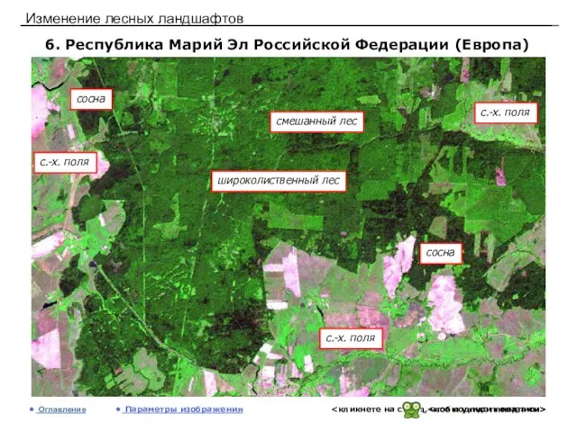 Изменение лесных ландшафтов 6. Республика Марий Эл Российской Федерации (Европа) Оглавление Параметры