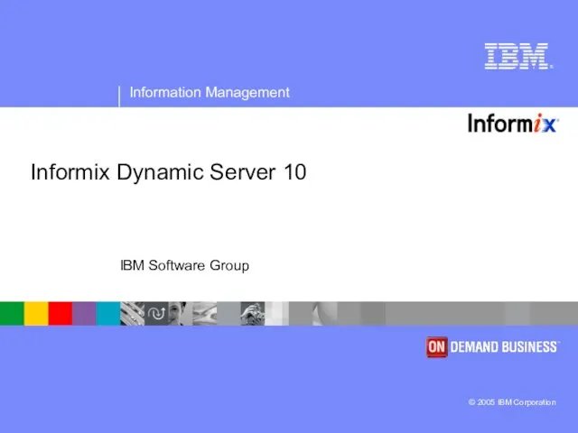 Informix Dynamic Server 10