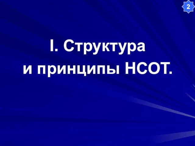 I. Структура и принципы НСОТ. 2