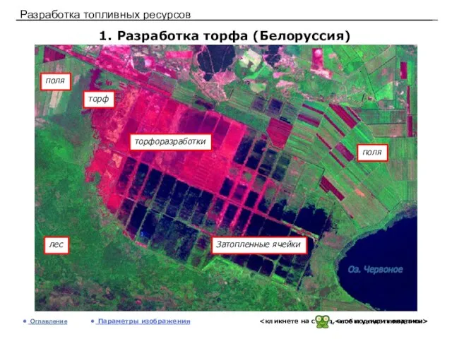 Разработка топливных ресурсов 1. Разработка торфа (Белоруссия) Оглавление Параметры изображения лес поля